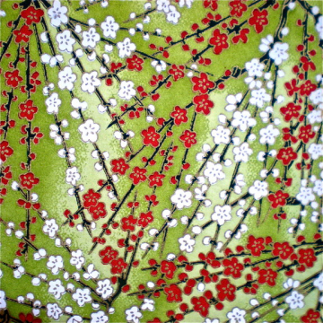 Cherry Blossoms on Green Cherry Blossoms on Green